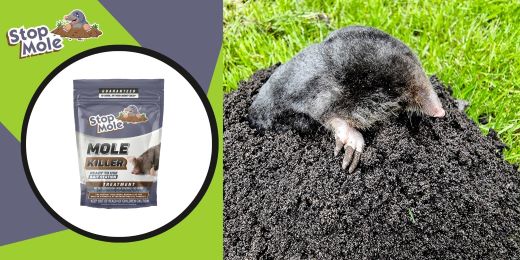 Atraskite atsiliepimus apie „Stop Mole“ gydymą nuostabiam sodui